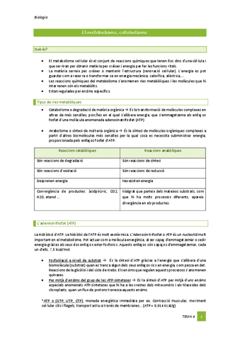 Tema-4-Metabolisme-Catabolisme.pdf