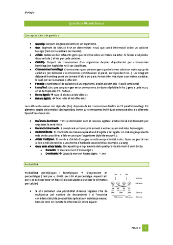 Tema-5-Genetica-Mendeliana.pdf