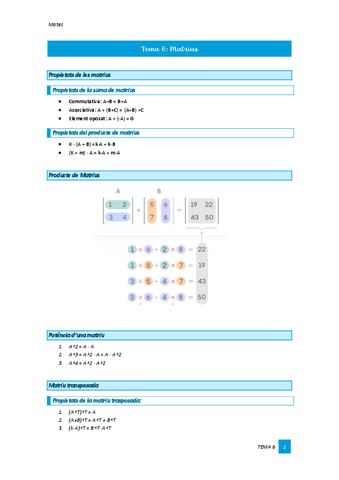 Tema-6-Matrius.pdf