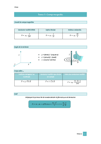 Tema-3-Camp-Magnetic.pdf