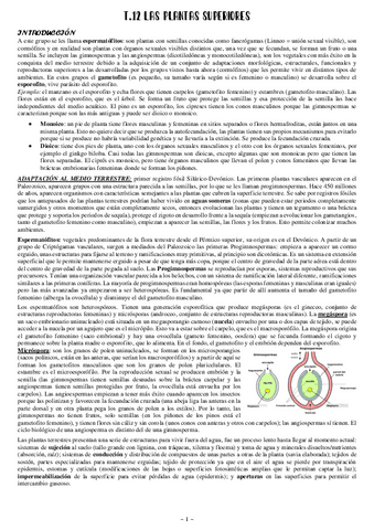 12-Las-plantas-superiores.pdf