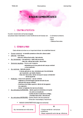 TEMA-2B-LUMBAR.pdf