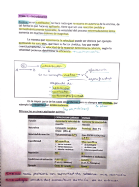 biotecnología de enzimas bloque I.pdf