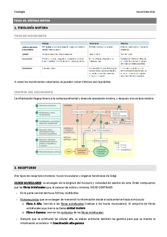 TEMA 45 - Sistema motor.pdf