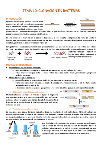 TEMA-10-Clonacion-en-bacterias.pdf