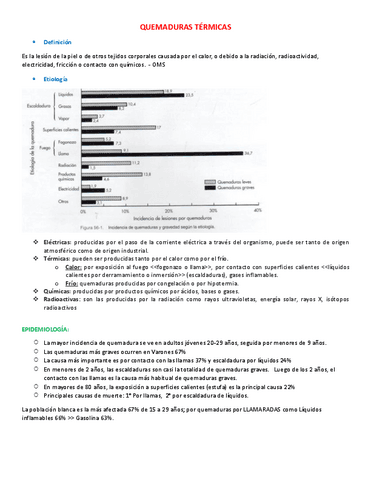 Quemaduras-EXPO.pdf