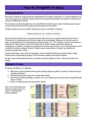 Tema-18.-Transporte-de-gases.pdf
