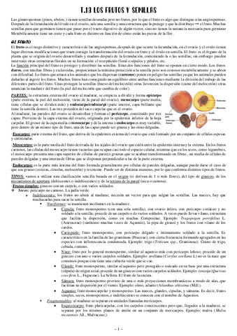13-Los-frutos-y-semillas.pdf
