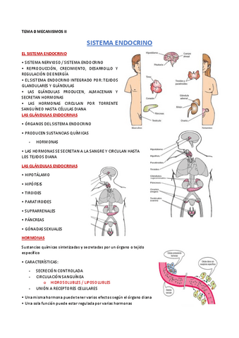 ENDOCRINO-Genralidades-y-trastornos-hipofisarios.pdf