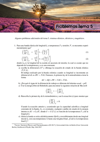 Problemas-t5.pdf