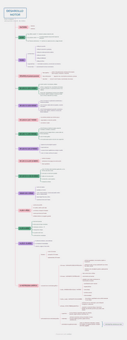 desarrollo-motor-I-mapa-mental.pdf
