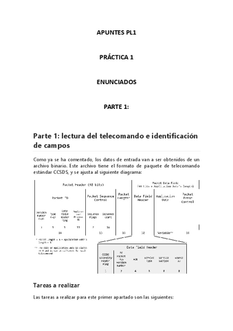APUNTES-PL1.pdf