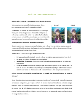 Práctica visual.pdf