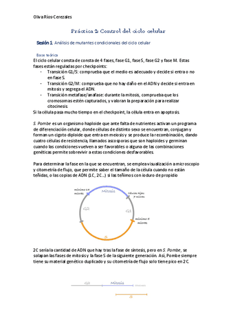 EPD-2-genetica-molecular.pdf