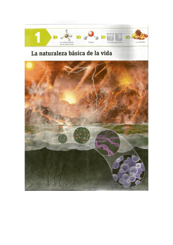 BIOMOLECULAS-T.1.pdf