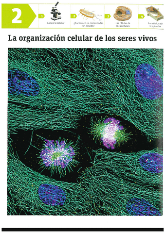 ORGANIZACION-CELULAR-T.2.pdf
