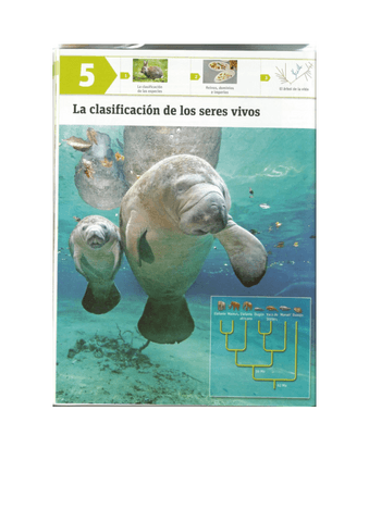 LA-CLASIFICACION-DE-LOS-SERES-VIVOS-T.5.pdf