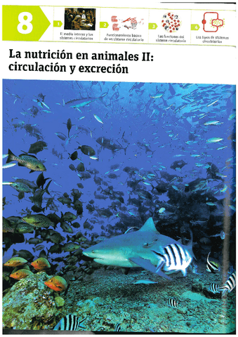 Circulacion-y-Excrecion-T.8.pdf