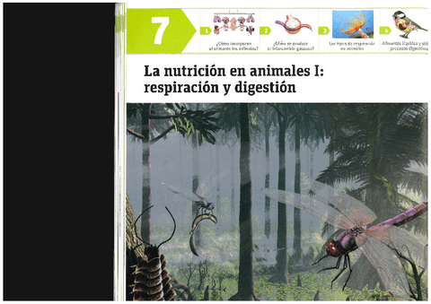 Respiracion-y-Digestion-T.7.pdf