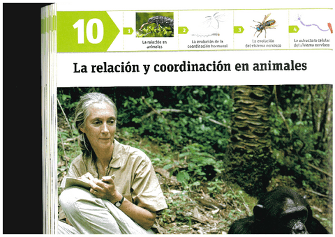 Relacion-y-Coordinacion-T.10.pdf