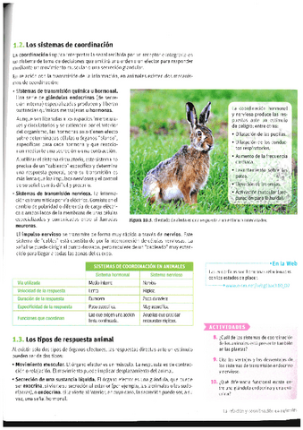 Endocrino-y-Nervioso-T.1.pdf