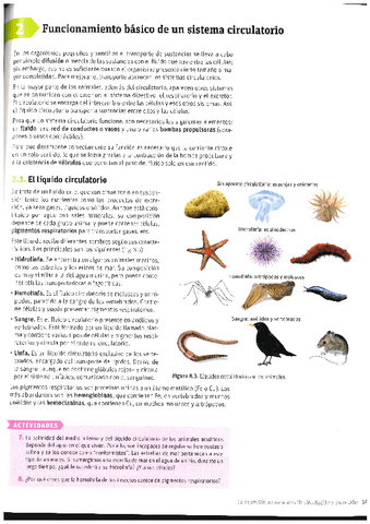 Circulatorio-y-Excretor-T.3.pdf