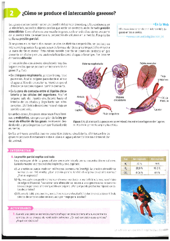 Respiratorio-y-digestivo-T.2.pdf