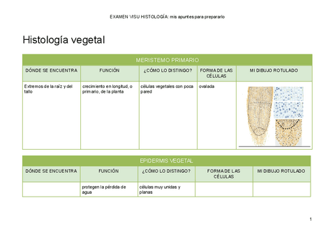 VISU-HISTOLOGIA-completo.pdf