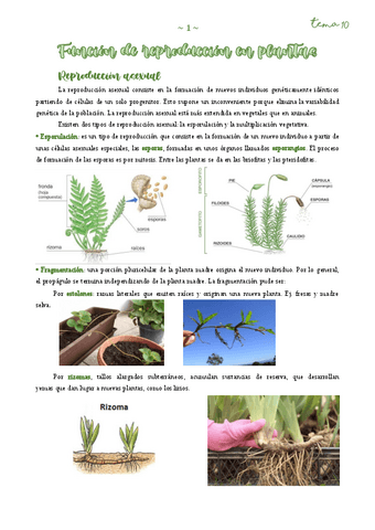 La-reproduccion.-1-Bach.-22-23.pdf