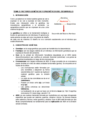 TEMA-2-FACTORES-GENETICOS-Y-EPIGENETICOS-DEL-DESARROLLO-Documentos-de-Google.pdf