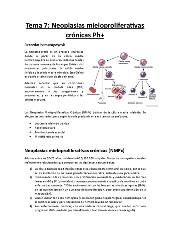 Tema-7-LMC.pdf