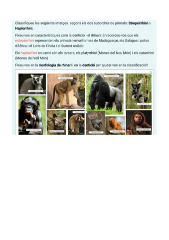 Questionari-practica-4-Identificacio-de-grups-de-primats.pdf