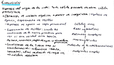 evolucion-biologia.pdf
