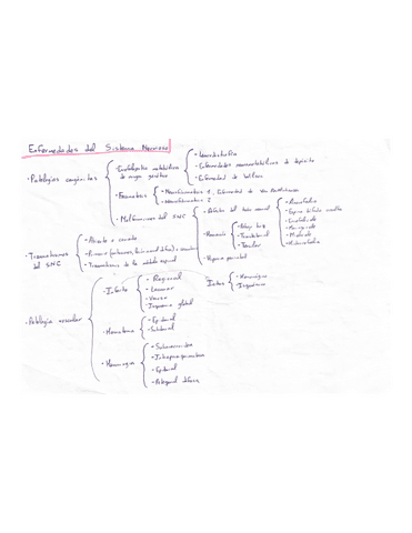 Resumen-enfermedades-sistema-nervioso-Tema-4-Necropsia.pdf