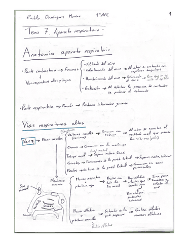 Resumen-Tema-7-Fisio.pdf