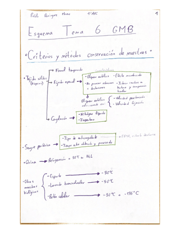 Esquema-Tema-6-GMB.pdf