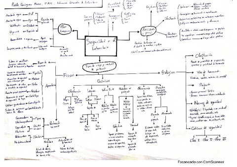 Mapa-conceptual-Tema-2-TGL.pdf