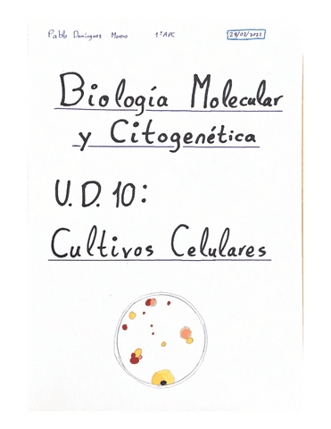 Resumen-Tema-10-BMC.pdf