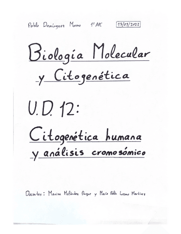 Resumen-Tema-12-BMC.pdf