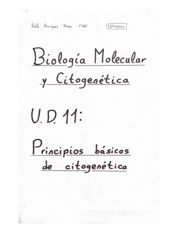 Resumen-Tema-11-BMC.pdf