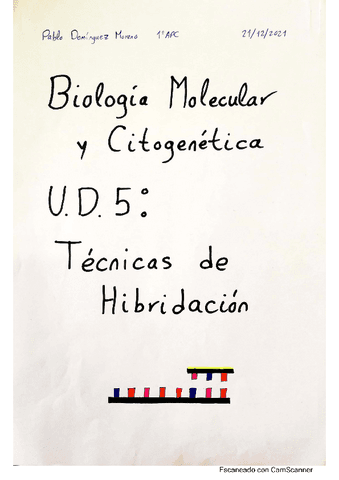 Resumen-Tema-5-BMC.pdf