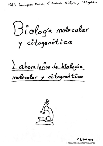 Resumen-Tema-1-BMC.pdf