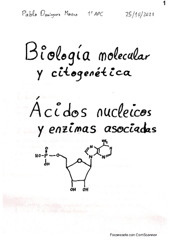 Resumen-Tema-2-BMC.pdf