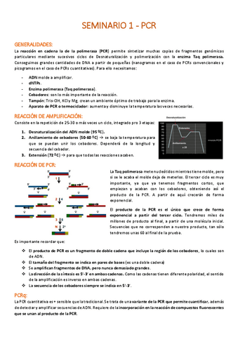 Seminario-1-PCR.pdf