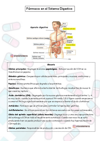 Sistema-Digestivo-FARMACOLOGIA-SERENFERMERXS.pdf