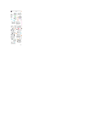 linea-del-tiempo-IIA.pdf