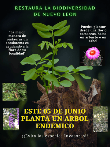 Restaura-la-biodiversidad-de-Nuevo-Leon-1.pdf