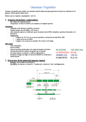 Genomas-Vegetales-tema-2.pdf