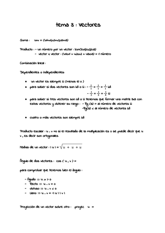 Vectores.pdf