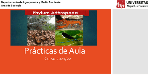 08-pAula-ARTROPODOS.pdf